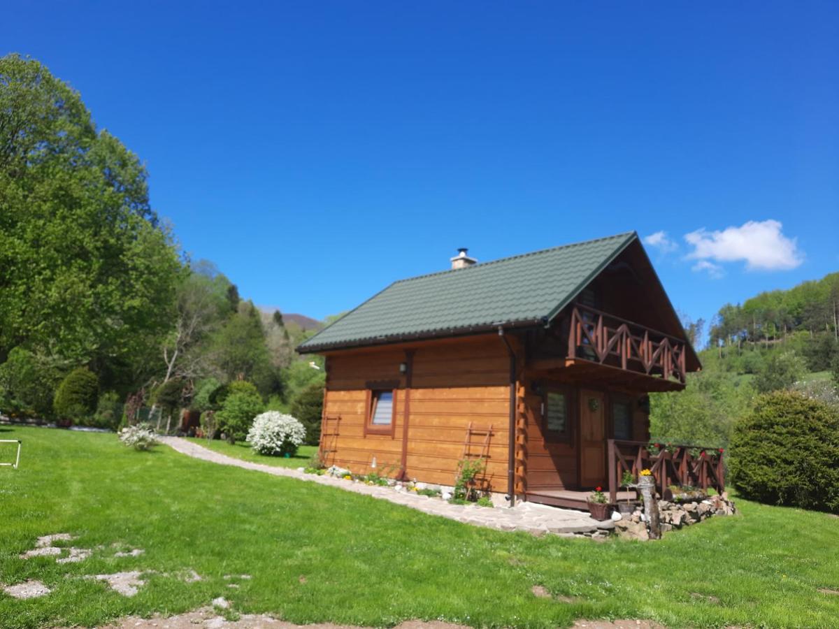 Domki Pod Lipa. Liszna Exterior foto