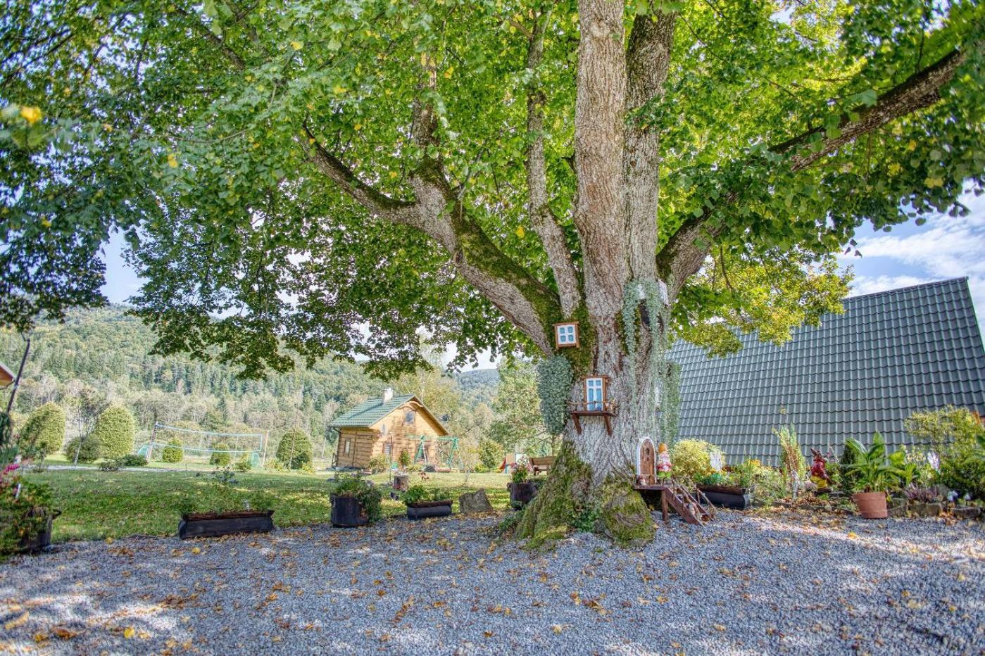 Domki Pod Lipa. Liszna Exterior foto